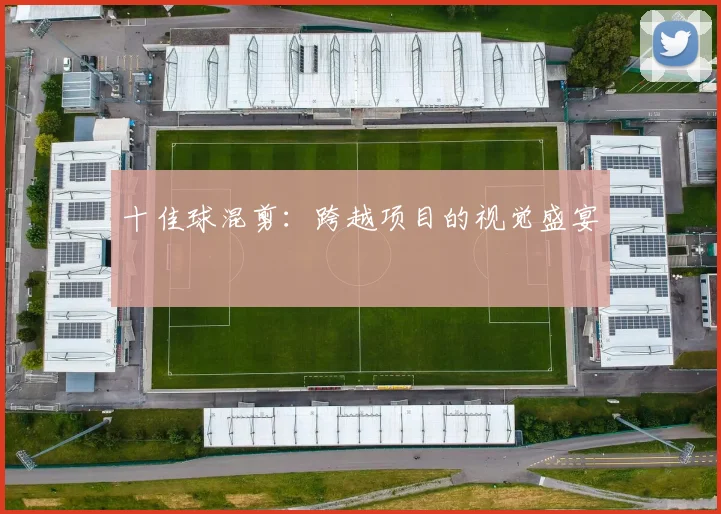 十佳球混剪:跨越项目的视觉盛宴