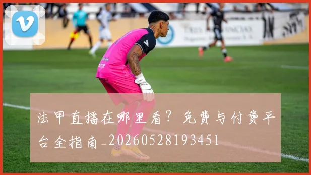 法甲直播在哪里看？免费与付费平台全指南_20260528193451