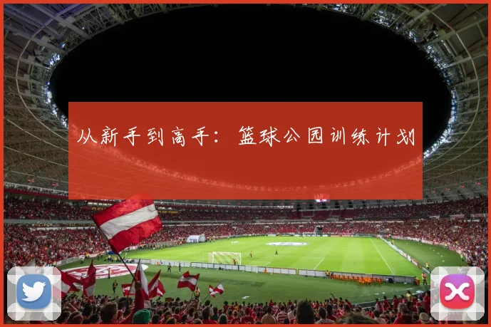 从新手到高手：篮球公园训练计划